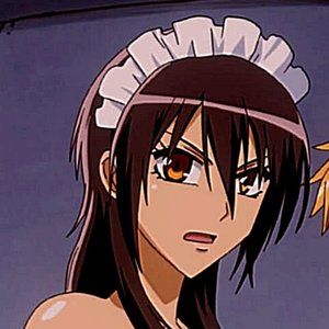 Meet your Posher,  darleen